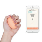 SQUEGG Smart Stress Ball (Mint)