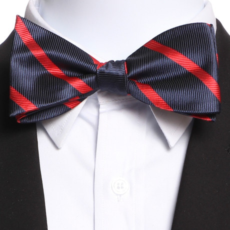 Self Bow Tie And Hanky Set // Red + Navy Blue