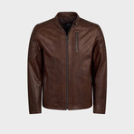 Titus Biker Leather Jacket // Oiled Brown (L)