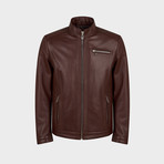 Zenon Biker Leather Jacket // Chestnut (L)