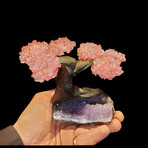 Tree of Love // Rose Quartz Petals on an Amethyst Matrix // Ver. II