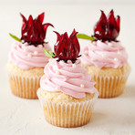 Wild Hibiscus Specialty Garnish Set // Flowers in Syrup + Lotus Root (Hibiscus & Ginger)