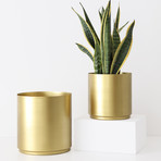 Brass Cylinder Planter // Set of 2