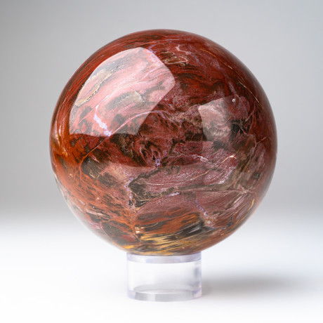 Petrified Wood Sphere + Acrylic Display Ring v.1