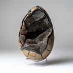 Septarian Druzy Egg + Acrylic Display Stand v.2