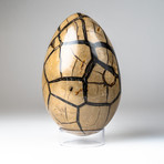 Septarian Druzy Egg + Acrylic Display Stand v.2