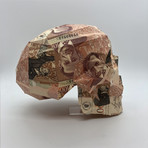 Money Skull // Colombia