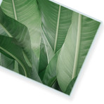 Green Beauty // High Gloss Panel (12"W x 15"H x 0.5"D)