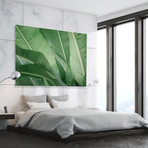 Green Beauty // High Gloss Panel (12"W x 15"H x 0.5"D)