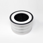 FLO Replacement Filter