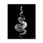 Python Gyotaku No. 01 (White Black) // High Gloss Panel (12"W x 15"H x 0.5"D)