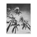 Swaying Palms (B+W) // Canvas (12"W x 15"H x 2"D)