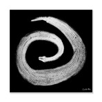 Python Gyotaku No. 02 (White Black) // Canvas (15"W x 15"H x 2"D)