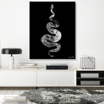 Python Gyotaku No. 01 (White Black) // Canvas (12"W x 15"H x 2"D)