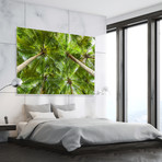 Tropical Green Canopy // Canvas (12"W x 15"H x 2"D)