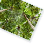 Tropical Green Canopy // Canvas (12"W x 15"H x 2"D)