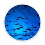 Blue Swim - Round // High Gloss Panel (15"W  x  15 "H x 0.5"D)