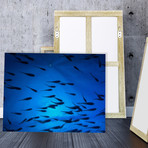 Blue Swim // Canvas (12"W  x  15 "H x 2.0"D)