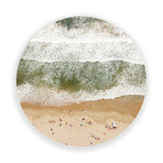 Beach Fly Over - Round // High Gloss Panel (15"W  x  15 "H x 0.5"D)