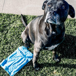 Eco-Friendly Dog Waste Bags