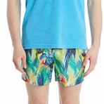 Isaac Swim Shorts // Depths (S)