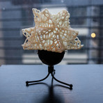 Kinetic Voronoi 3D Printed Lamp