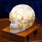 Astrology Skull Lamp