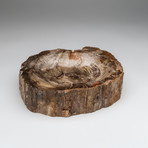 Petrified Wood Bowl v.1
