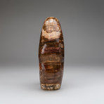 Petrified Wood Freeform v.2