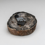 Petrified Wood Bowl v.2