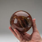 Petrified Wood Sphere + Acrylic Display Ring