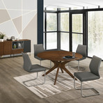 Ximena // Dining Chair (Dark Gray)