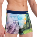 Mexico Boxer Brief // Multicolor (L)