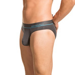 Hipster Brief // Titanium (Small)