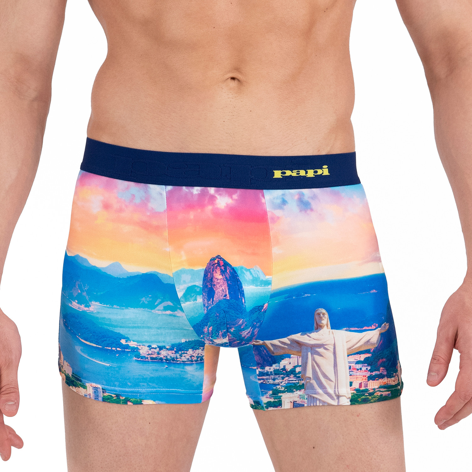 Brazil Boxer Brief // Multicolor (L) - Papi Underwear - Touch of
