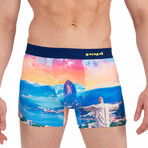 Brazil Boxer Brief // Multicolor (XL)