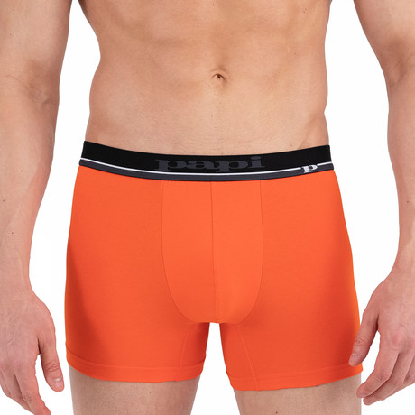 Mexico Boxer Brief // Multicolor (S) - Papi Underwear - Touch of