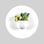 96ea8988f7e8719109398649c2172de8 small