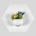 Hexagon Planter (White)
