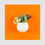 Square Planter (White)