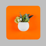 C6ba3711c6fcfce3ad220700738d505a small