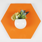 D201ddef369975028b7193f48862e701 small