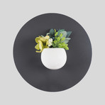 F51441d94daa3adee012134e9ec2a8d9 small