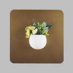 F9289d47272dffd16a43a0c751e757ff small