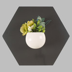 8c3e4ab8232ac3be1e6da0d3137c3738 small