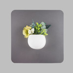 D591fb45d3bfab23937cce2a1a465da0 small