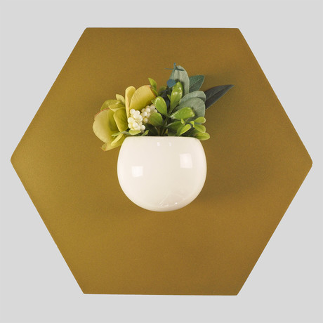 Hexagon Planter (White)