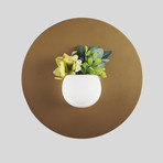 1864924e08d9c27e954157357fba2883 small