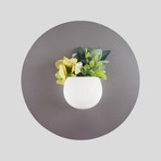 C206f9f9dfc3596f85fbf65e23385130 small