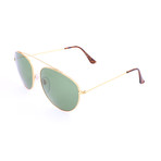 Men's Leon Sunglasses // Gold + Green